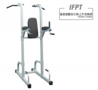 英派斯  IFPT  垂直提膝及引体上升训练架